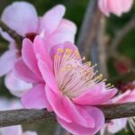 「海峡からの風」電脳版　第233号