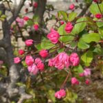 「海峡からの風」電脳版　第234号